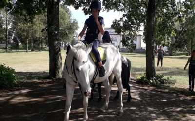 Bluza Moro Runowo Team